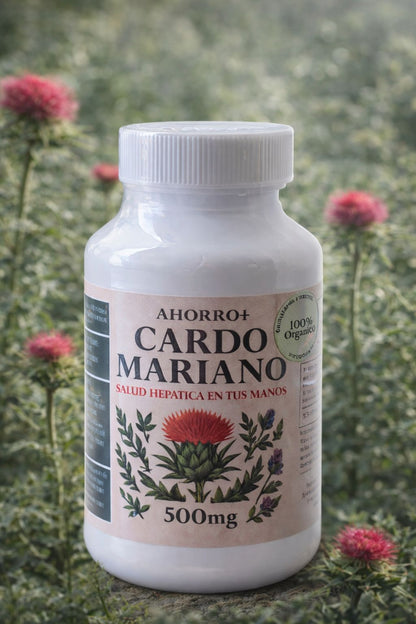 CARDO MARIANO - EL ALIADO NATURAL PARA TU HÍGADO