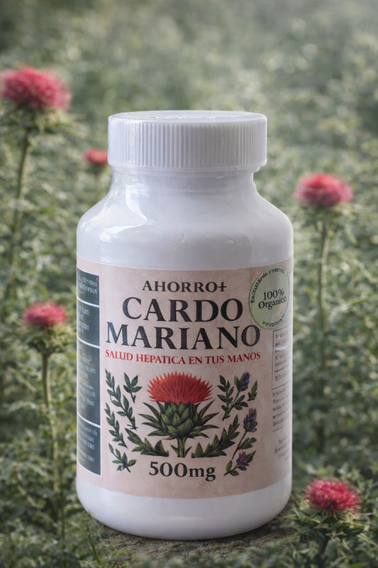 CARDO MARIANO - EL ALIADO NATURAL PARA TU HÍGADO
