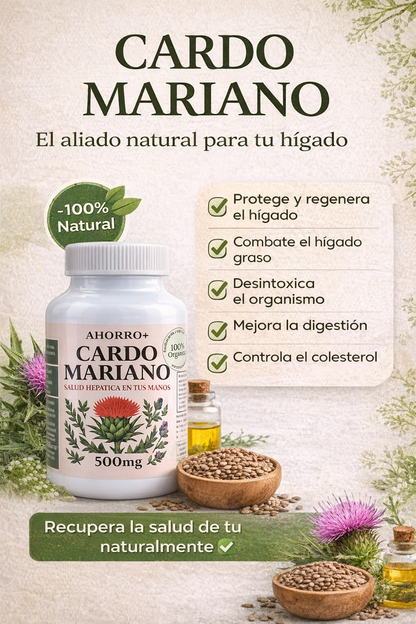 CARDO MARIANO - EL ALIADO NATURAL PARA TU HÍGADO